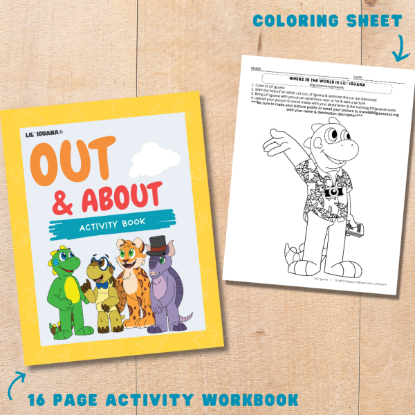 Out & About: Activity Box - Image 3