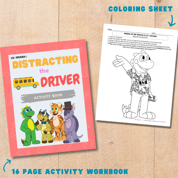 Distracting the Driver: Activity Box - Image 3