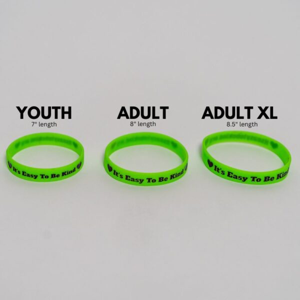 "It's Easy to be Kind" Bulk Wristbands - Image 7