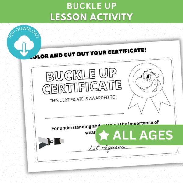 Buckle Up Activity - Certificate
